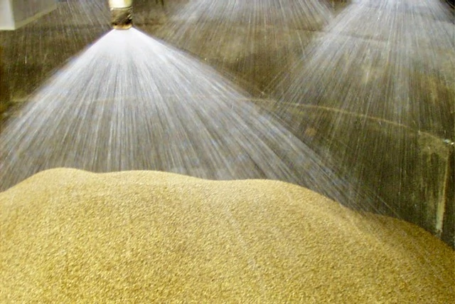 Barley 1