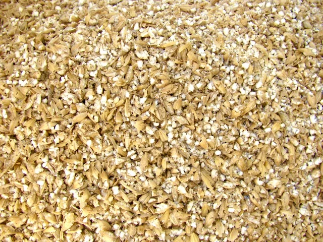 Barley 1